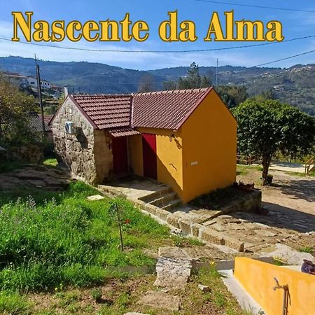 Nascente, Place In Nature Next To A Waterfall Loureiro  Exterior foto